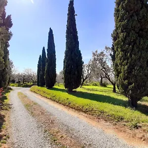  Casa vacanze Il Palagio Italia